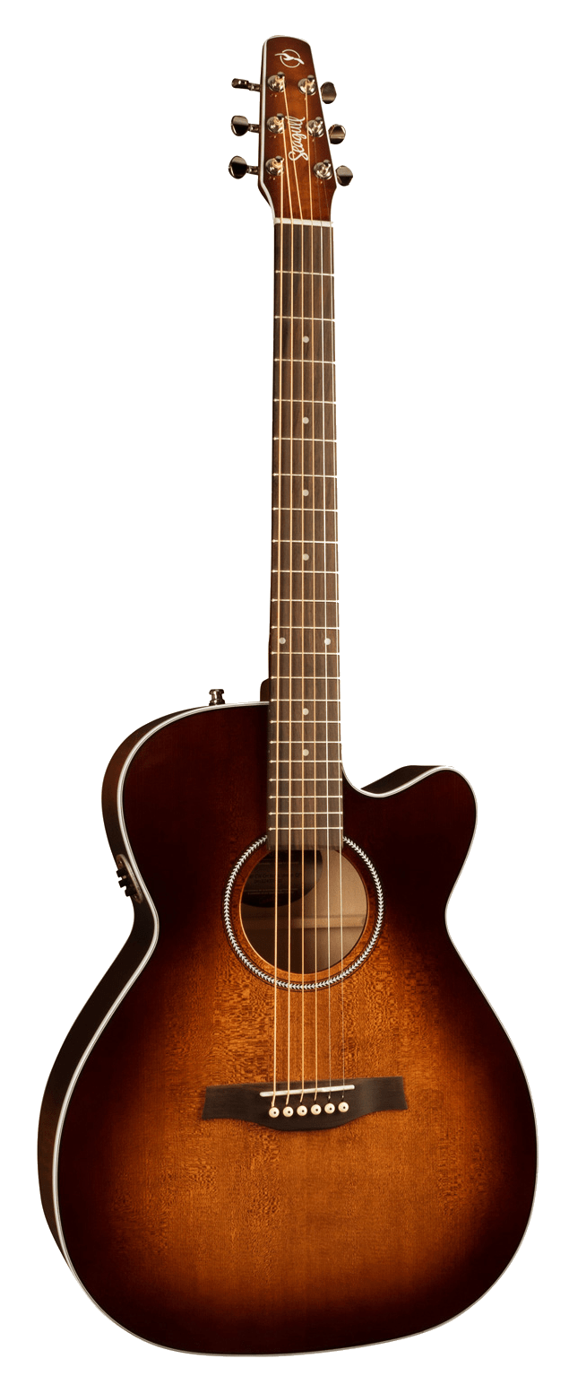 Seagull Guitars Canada The Arts Music Store